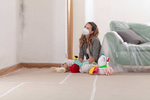 Reliable Mold Remediation contractor in Budd Lake, NJ by 24 Hour Mold Removal